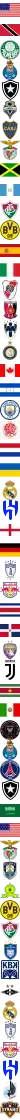 USA Logo