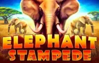 Elephant Stampede Logo