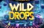 Wild Drops Logo