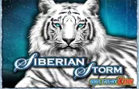 Siberian Storm Logo