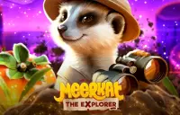 Meerkat Logo