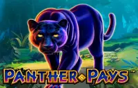Panther Pays Logo