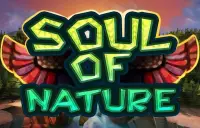 Soul of Nature Logo