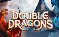 Double Dragons Logo
