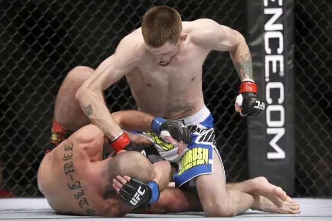 MMA, UFC