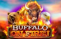 Buffalo on Fire Logo