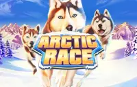 Arctic Race Logo