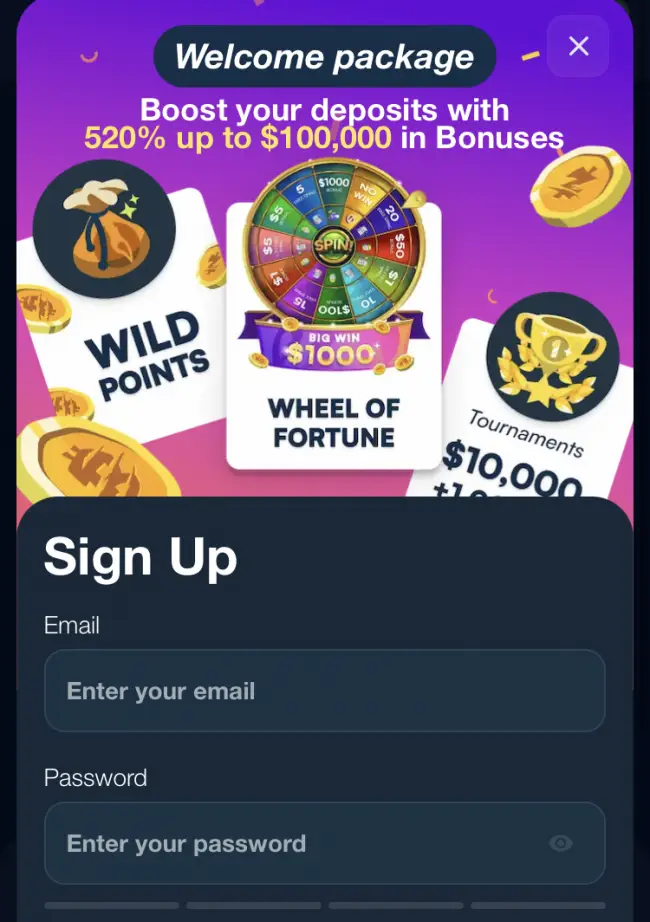 Wild.io Casino Testbericht