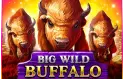 Big Wild Buffalo Logo