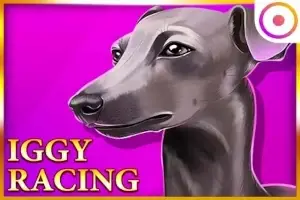 Iggy Racing Logo