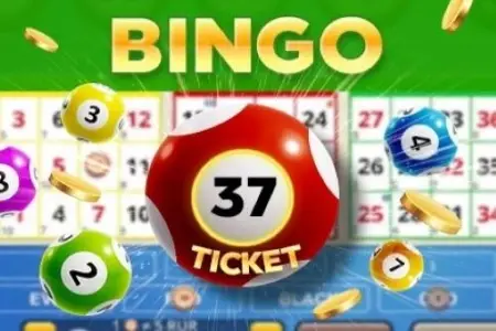 Bingo 37 Ticket Logo