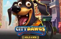 City Dawgs - Hold & Win Logo