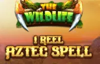 1 Reel - Aztec Spell Logo