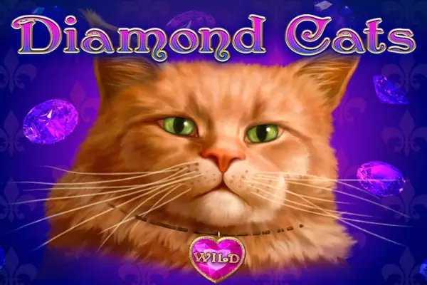 Diamond Cats Logo