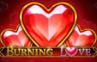 Burning Love Logo