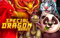Special Dragon Bonus Logo