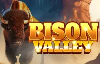 Bison Valley Logo
