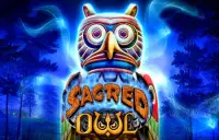 Sacred Owl Logo