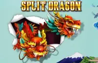 Split Dragon Logo