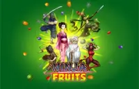 Ninja Fruits Logo