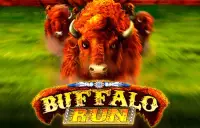 Buffalo Run Logo