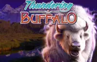 Thundering Buffalo Logo