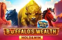 Buffalo's Wealth Hold & Win Logo