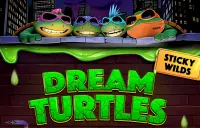 Dream Turtles Logo