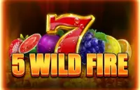 5 Wild Fire Logo