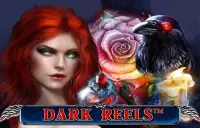 Dark Reels Logo