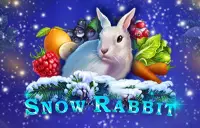 Snow Rabbit Logo