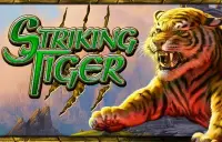 Striking Tiger Logo