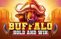 Buffalo Hold and Win Logo