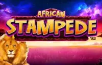 African Stampede Logo