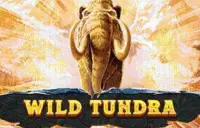 Wild Tundra Logo