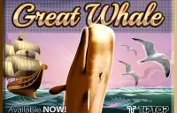 Great Whale Logo