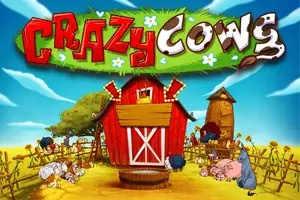 Crazy Cows Logo