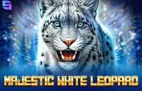 Majestic White Leopard Logo