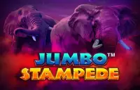 Jumbo Stampede Logo