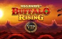 Buffalo Rising All Action Megaways Logo