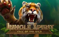 Jungle Spirit Logo