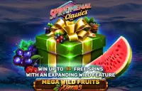 Mega Wild Fruits - Xmas Logo