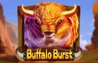 Buffalo Burst Logo