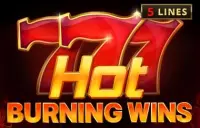 Hot Burning Wins Logo