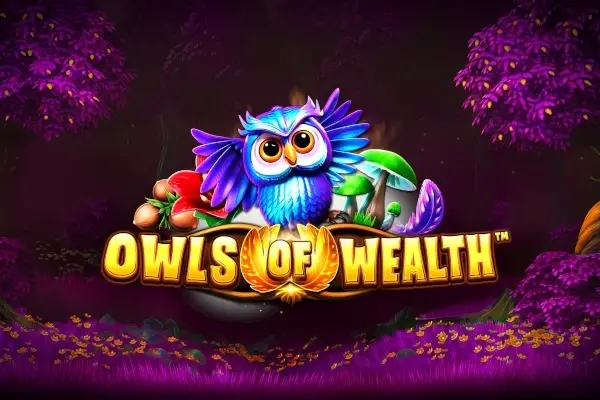 Owls of Wealth Logo