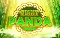 Giant Panda Logo