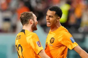 Cody Gakpo Niederlande WM 2022