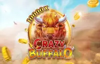 Crazy Buffalo Logo