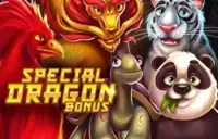 Special Dragon Bonus 3x3 Logo