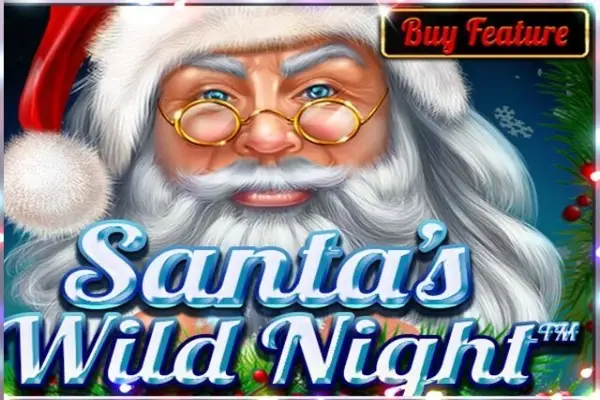 Santa's Wild Night Logo